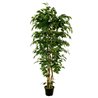 FICUS 180