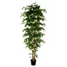 FICUS 210