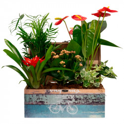 PLANT BOX