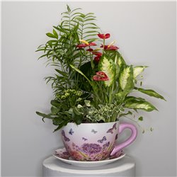 TAZA DE PLANTAS