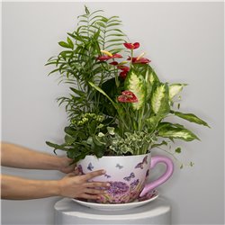 TAZA DE PLANTAS